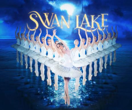 Swan Lake Image