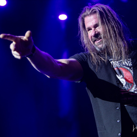 Hollywood Nights Image