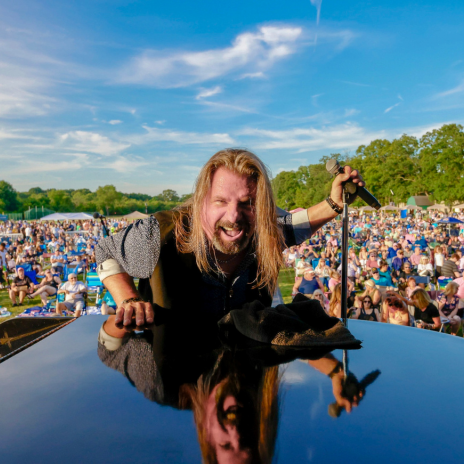 Hollywood Nights Image