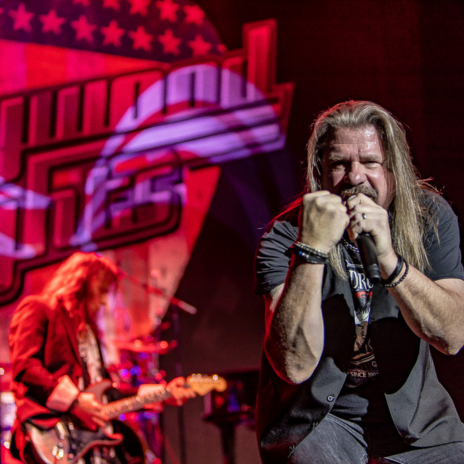 Hollywood Nights Image